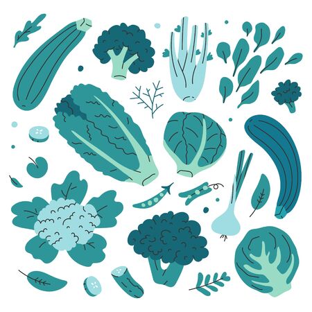 Collection of green hand drawn fresh tasty vegetables isolated on white background. Bundle of delicious vegetarian products, wholesome healthy diet food. Flat cartoon doodle vector illustration.のイラスト素材