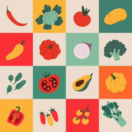 Vegetables, organic food poster with hand drawn doodle cartoon illustrations of healthy food products, pumpkin, tomato and pepperのイラスト素材