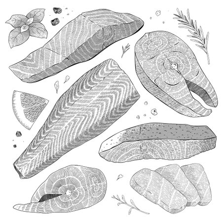 Salmon set, fish steak, atlantic fillet, sashimi slices and whole salmon on skin, detailed realistic illustration, balck and white ink art, vector cliparts isolatedのイラスト素材