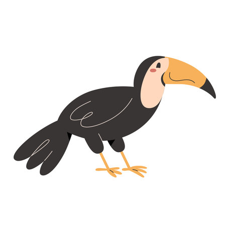 Cute toucan bird with smile and facial expression, exotic wild animal, isolated vector illustrationのイラスト素材