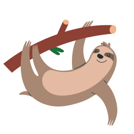Cute sloth hanging on a tree branch, funny smiling tropical mammal illustration, vector clipart isolated on white backgroundのイラスト素材