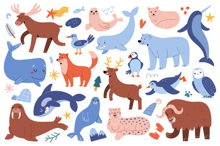 Northern animals, reindeer and moose, arctic mammals from Alaska, blue whale, cute polar bear, snow leopard and baby sealのイラスト素材