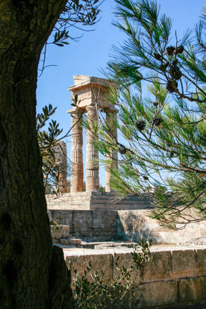 View through the vegetation to the Acropolis of Rhodes Greeceの写真素材