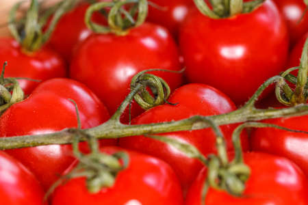 A bunch of fine red cherry tomatoes lying on a tabletopの写真素材