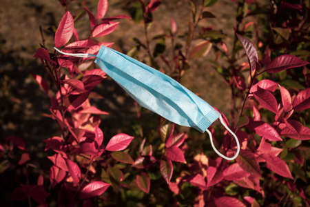 Used mask on wood. Illustration on the topic of environmental pollution.の写真素材