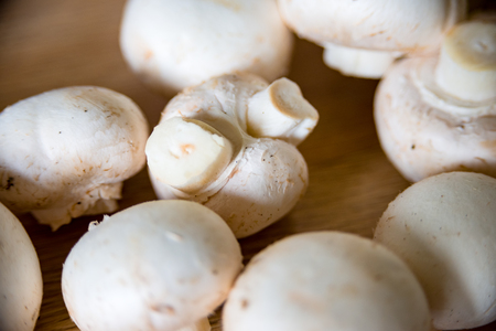 white mushrooms to the Cook prepared at the deskの写真素材