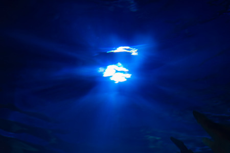 The big Moon from under the Seaの写真素材