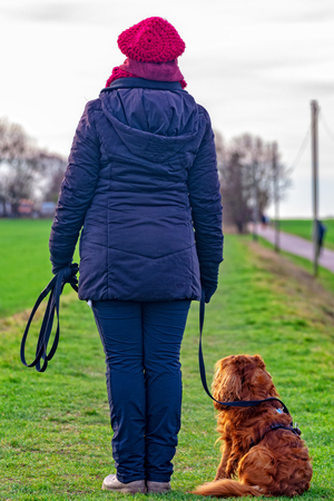 Woman with dogの写真素材