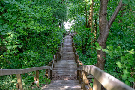 The Wooden staircase to the beach at Cape Arkona