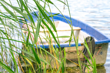 Rowing boat lies in the lake in the reedのeditorial素材