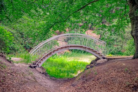 Bridge, Azalea and Rhododendron Park in Kromlauの写真素材