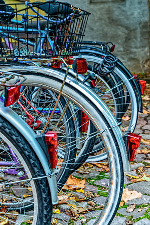Rear wheels of different bicycles