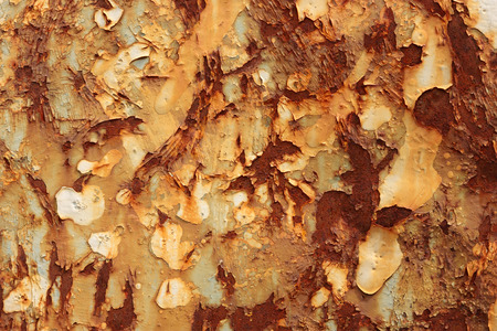 rusty iron backgroundの写真素材