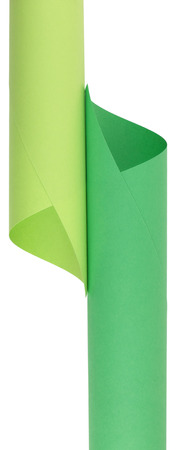 Green paper isolated on white background without shadowsの写真素材