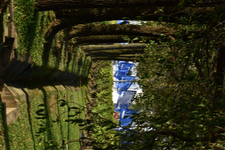 A vertical shot of a green garden with a blue sky in the background