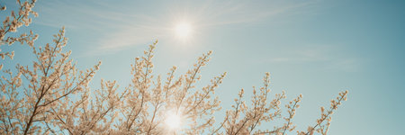 Branches of a blossoming tree on a background of blue skyの素材