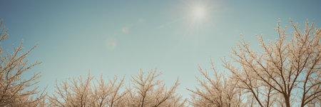 Frosty tree branches against blue sky. Panoramic image.の素材