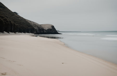 View of the beach on a foggy day, South Australia.の素材
