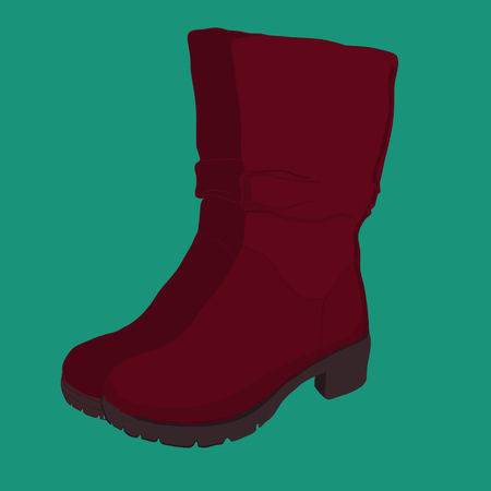 Women shoe illustration.のイラスト素材