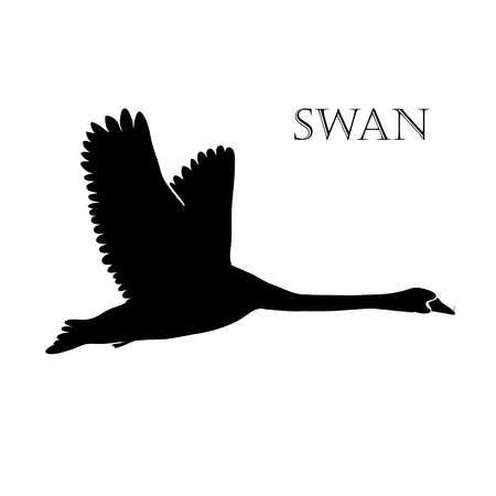 illustration of black swan logo silhouette.のイラスト素材
