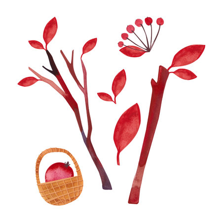 Set of watercolor autumn objects: leaves, branches, mushrooms, berries. isolated illustration. Clipart. Raster illustration for packaging, greeting cards and wrapping paper, gifts, posters.の写真素材