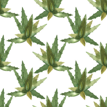 Aloe. Succulents: seamless watercolor pattern on a white background for wrapping paper and print on fabric, home textiles. Home gardening, hobby.の写真素材
