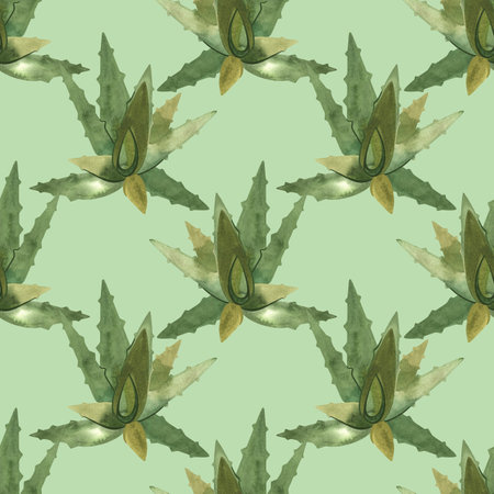 Aloe. Succulents: seamless watercolor pattern on a white background for wrapping paper and print on fabric, home textiles. Home gardening, hobby.の写真素材