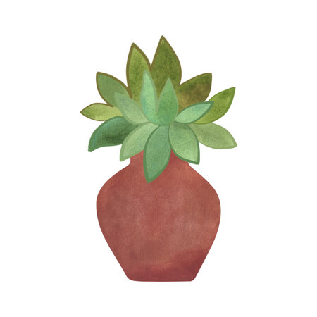 Succulent in red ceramic amphora. Boho style interior decoration. Isolated watercolor illustration.の写真素材