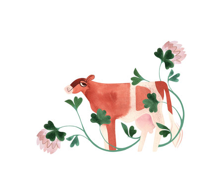 The Ayrshire is a Scottish breed of dairy cattle. Cow in a composition of meadow grasses and flowers. Isolated watercolor illustration in retro style for packaging, childrens book and encyclopedia. Clipart.の写真素材