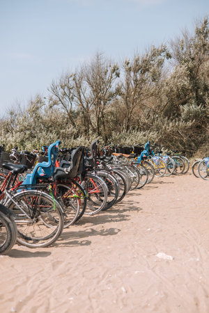 Bicycles parked on the sand in the park. Bicycle rental.