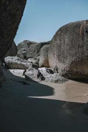 Boulders on the beach at sunset. Boulders on the beach.の写真素材