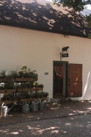 Old farm house with potted flowersの写真素材