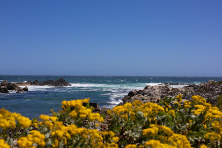 Cape of Good Hope, Cape of Good Hope, South Africaの写真素材