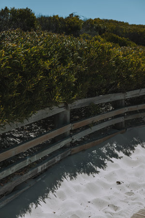 Wooden fence on the beach in the early morning.の写真素材
