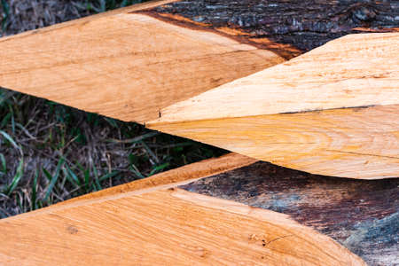 Detail of some sharp trunks that are prepared for closing the land.The photograph is taken in horizontal format and has a selective focus.の写真素材