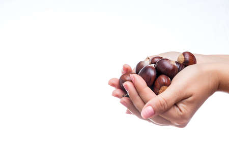 Photo of a womans hands full of chestnuts on a white background.The photograph is shot in horizontal format and has a large space for copy space.の写真素材