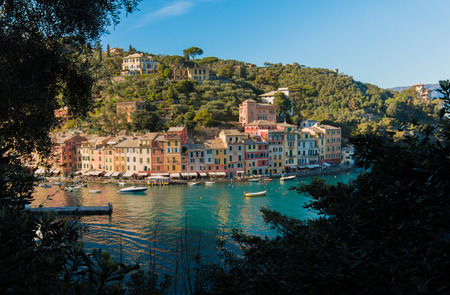 Portifino Behind the Bushesの写真素材