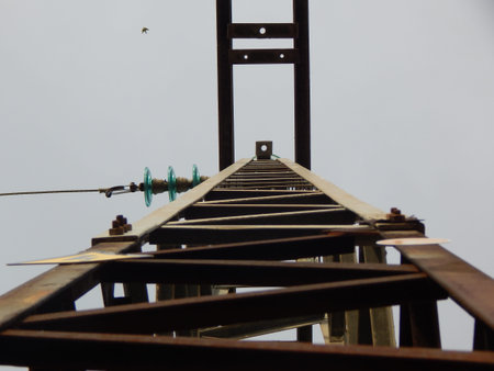 Electric pole