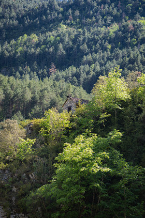 Small stone house camouflaged among trees in Anisclo Canyonの写真素材