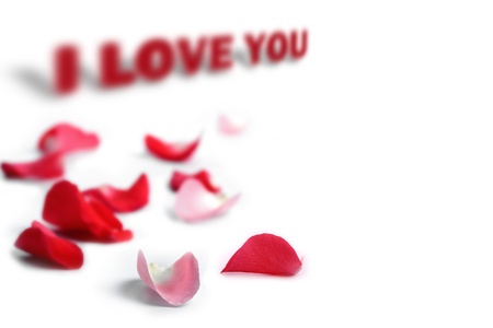 Rose petals with I love you phrase in the backgroundの写真素材