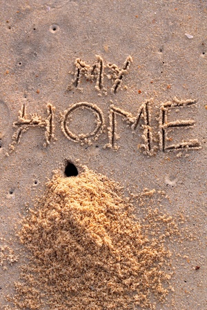 Crab hole and a pile of sand with words my home on a beachの写真素材