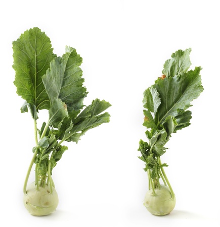 Two fresh ripe organic kohlrabi vegetable on white background の写真素材