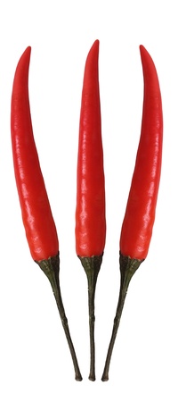 Fresh 3 red cayenne chili pepper isolated on white backgroundの写真素材