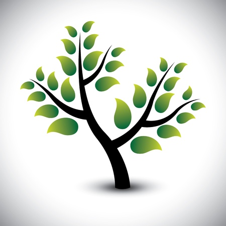 Abstract beautiful evergreen tree in a garden - vector graphic. The illustration represents pretty young tree with thick healthy green leavesのイラスト素材
