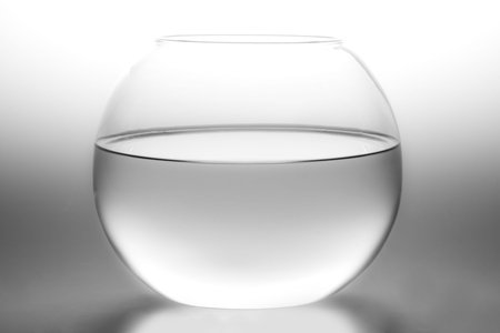 Bowl shaped aquarium on white