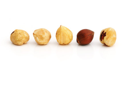 A line of hazel nuts, one of them shelled