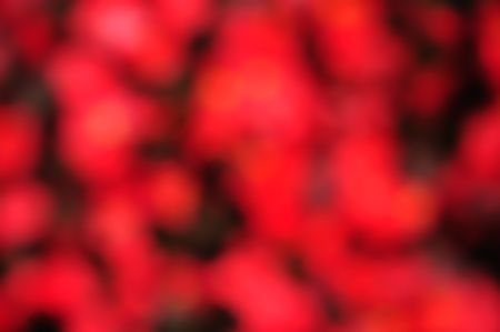 Abstract blur background in red and black colorsの写真素材