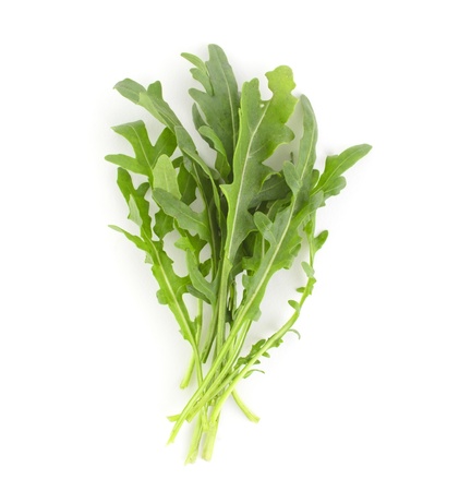 Fresh rukola leaves on white background with soft shadowの写真素材