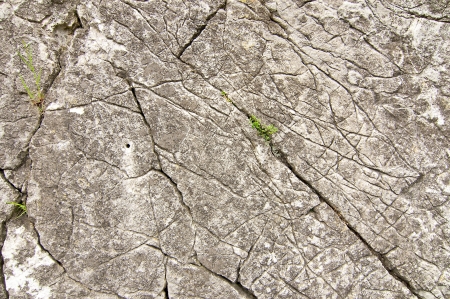Cracked weathered high contrast stone textureの写真素材