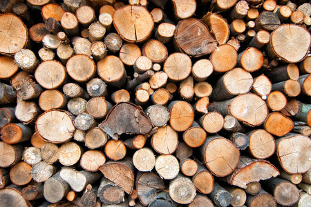 Background of cut wood logs stacked in a pile